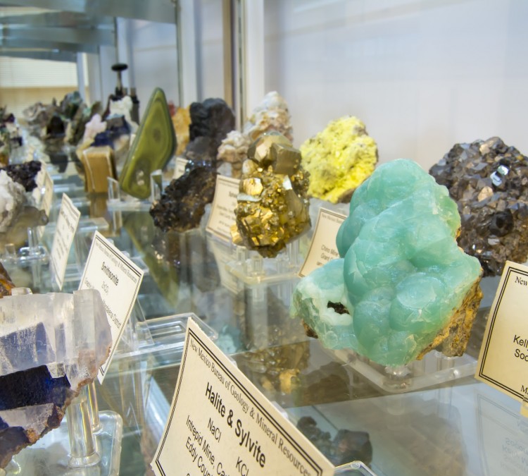new-mexico-bureau-of-geology-mineral-museum-photo